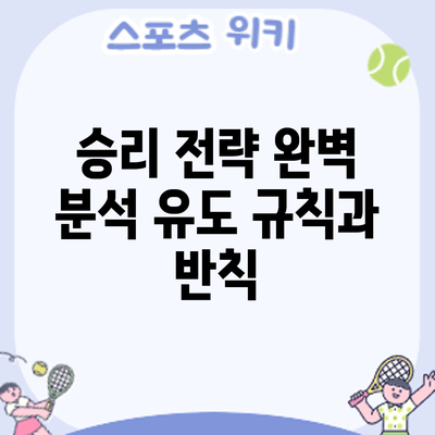 승리 전략 완벽 분석: 유도 규칙과 반칙