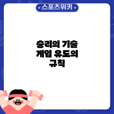 승리의 기술: 게임 유도의 규칙