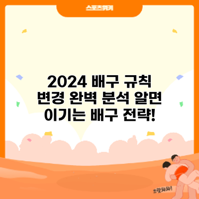 2024 배구 규칙 변경 완벽 분석: 알면 이기는 배구 전략!