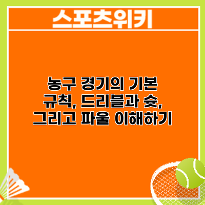 농구 경기의 기본 규칙, 드리블과 슛, 그리고 파울 이해하기