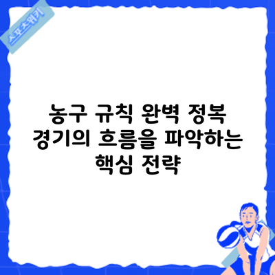 농구 규칙 완벽 정복: 경기의 흐름을 파악하는 핵심 전략