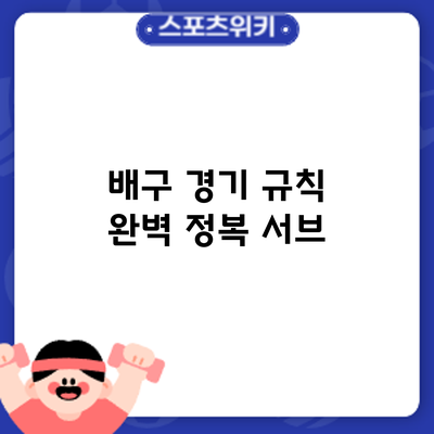배구 경기 규칙 완벽 정복: 서브