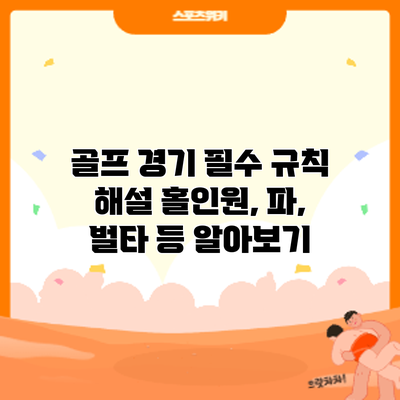 골프 경기 필수 규칙 해설: 홀인원, 파, 벌타 등 알아보기