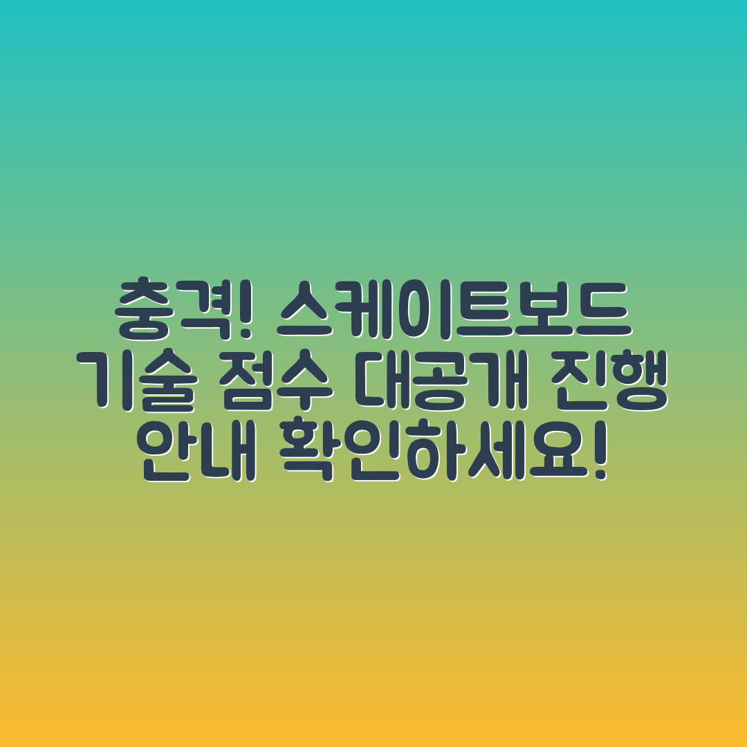 충격적인 스케이트보드 경기 기술 점수와 진행 안내!