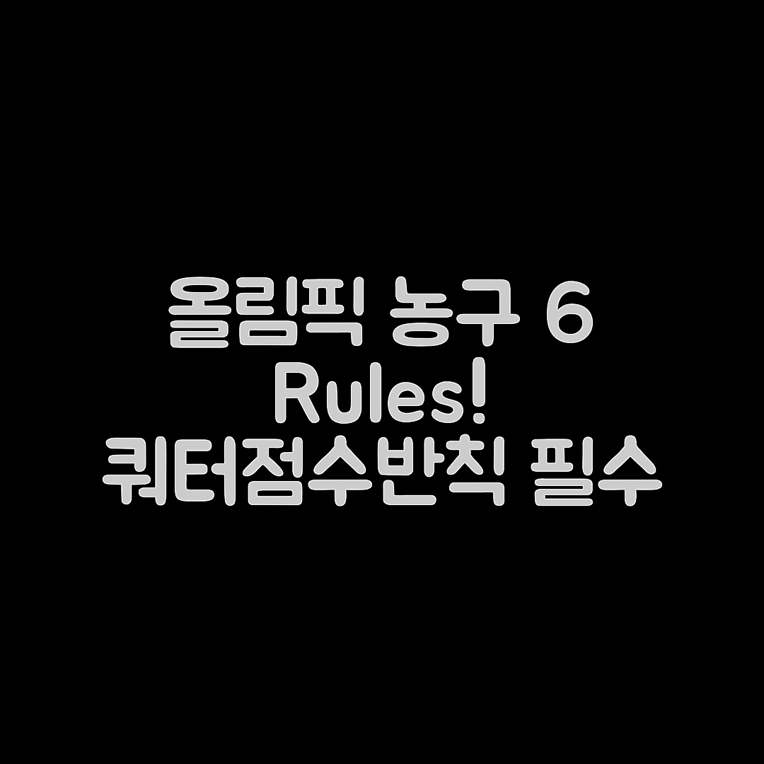 올림픽 농구 경기 규칙 6가지: 쿼터·점수·반칙